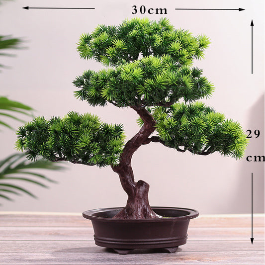 Handcrafted Decorative Bonsai Tree